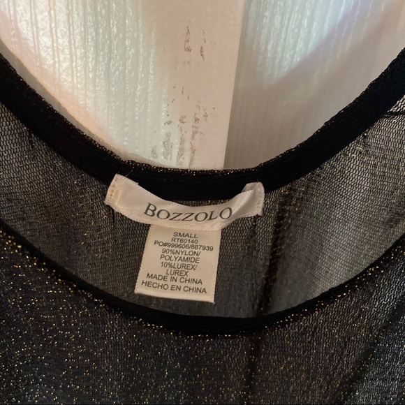 NWT Sheer Shimmery Bodysuit - Picture 3 of 4